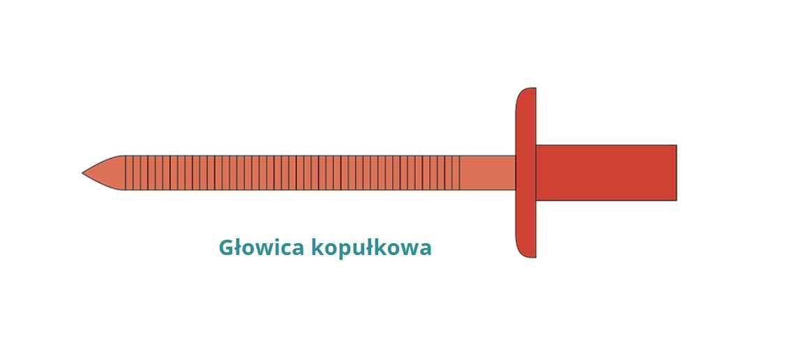 SF-Sealed (Stainless Steel A2 / Stainless Steel C1)